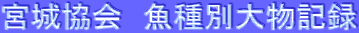 �{�鋦��@����ʑ啨�L�^